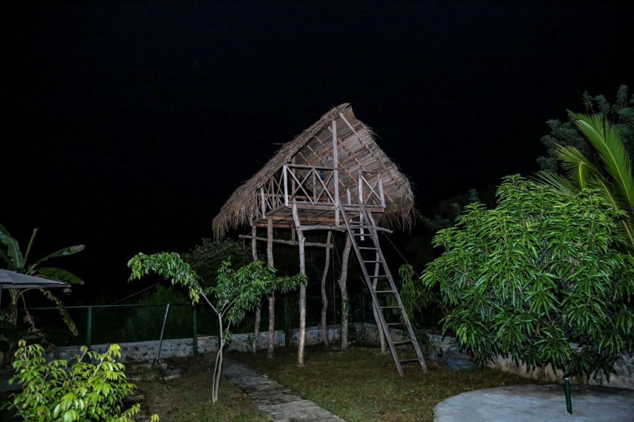 D Family Resort Anuradhapura Eksteriør billede
